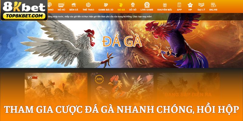 Tham gia cược đá gà nhanh chóng, hồi hộp