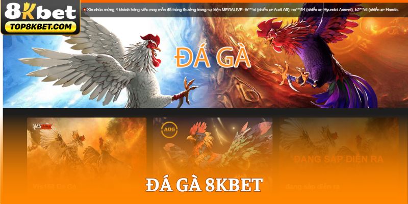 Đá Gà