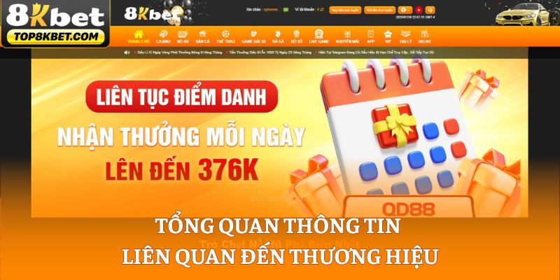 Tổng quan thông tin liên quan đến thương hiệu