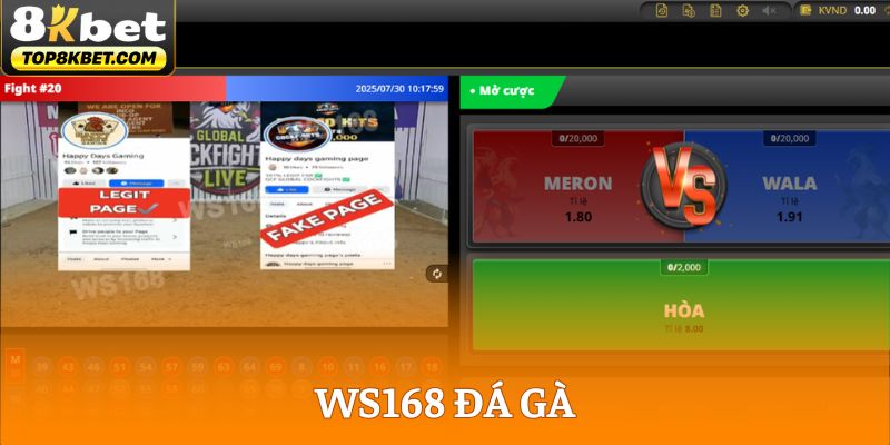 WS168 Đá Gà